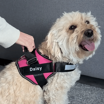 Phenika™ Personalized Premium Dog Harness