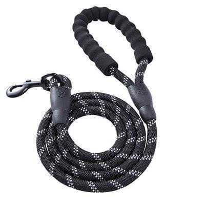 5ft Phenika™ Dog Leash