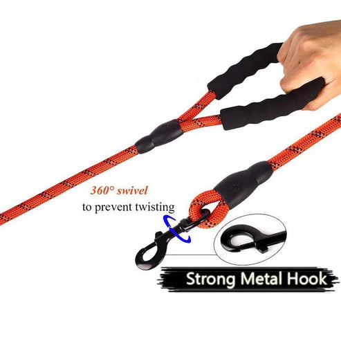 5ft Phenika™ Dog Leash