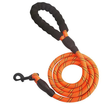 5ft Phenika™ Dog Leash