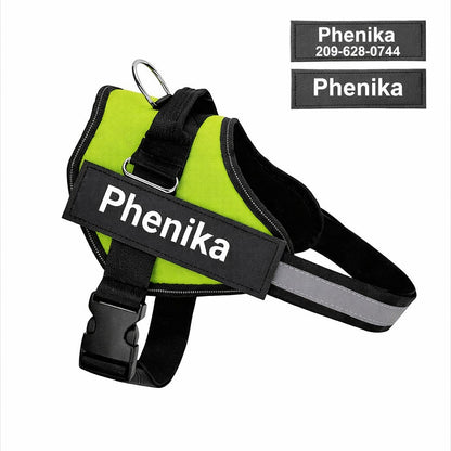 Phenika™ Personalized Premium Dog Harness