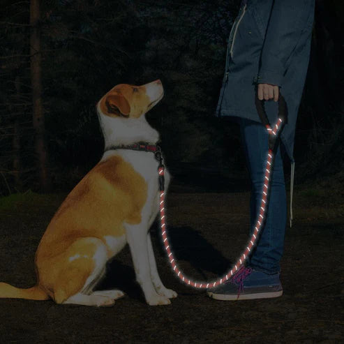 5ft Phenika™ Dog Leash