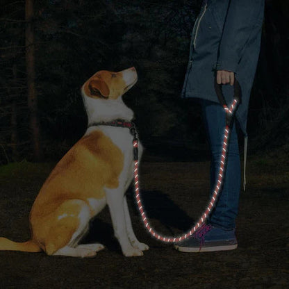 5ft Phenika™ Dog Leash